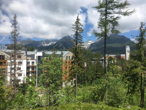 Aparthotel Apartm�n S V�h?adom Na ?t�ty Ovru? 312