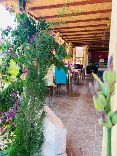 Gizli Vadi Camping&pension