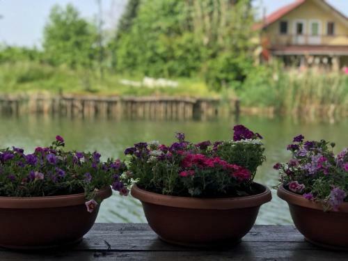 Agva Sweet Home River Hotel