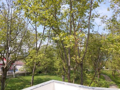 Villa Cevizli Bah�e Sapanca