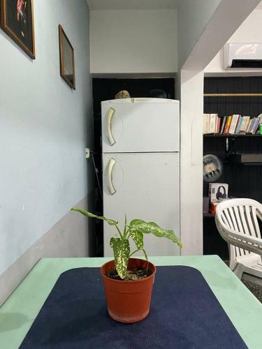 Apartamento Casa Pacha