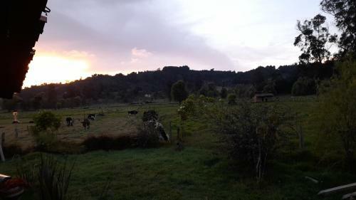 Agroturismo Finca El Garcero