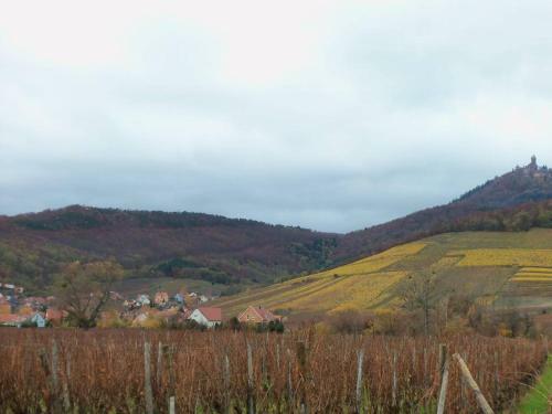 Apartment Route Du Vin Centre Alsace