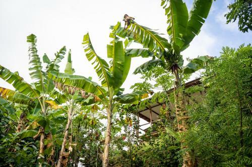 Agroturismo La Casita Del Bosque