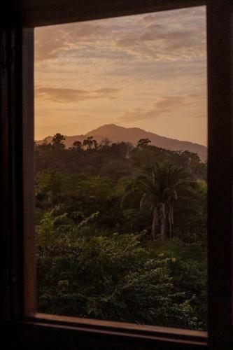 Agroturismo La Casita Del Bosque