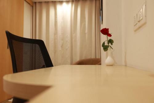 Fully Furnished Apartment With Pool