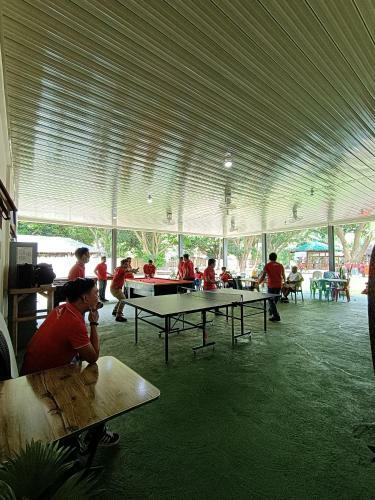 Shenanigans Glamping Resort