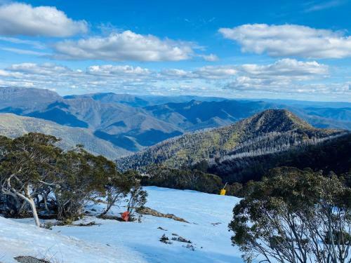 Cedar Apartments - Merrijig