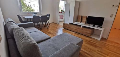 Linzer Schick Apartment