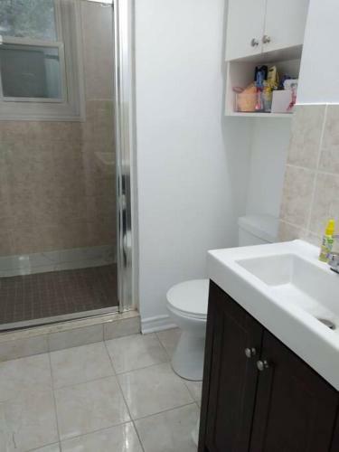Cheerful Beautiful Cottage 3 Bedroon