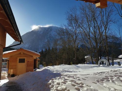 Premium Holiday Home In Tauplitz With Sauna