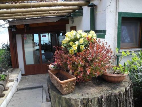 Apartamento Campeggio Residence Laguna Beach
