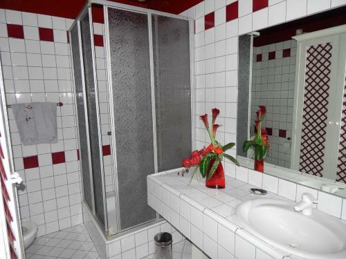 Hostal Manoir Les C�dres