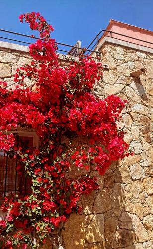 Apartamento Le Cocon Bord De Mer