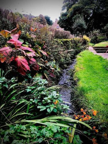 Beautiful Cosy Cottage By A Babbling Brook