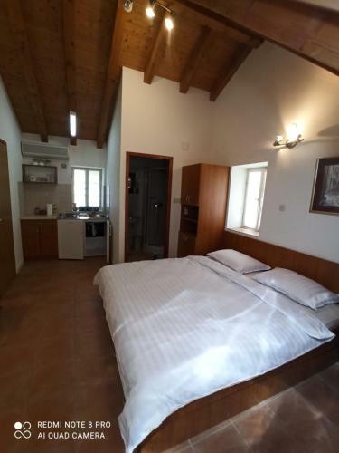 Apartmani Passer