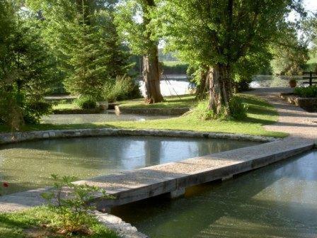 Bed & Breakfast Moulin De Cocussotte