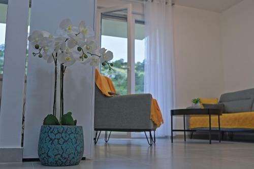 Apartamentos Bonaca