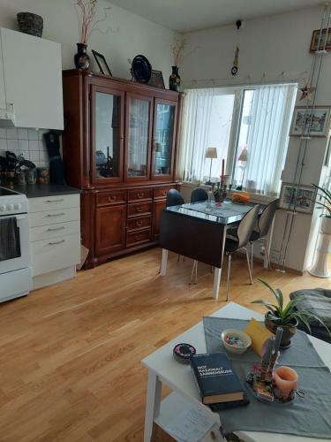 Apartamento Down Town, By The Central Station( Oslo S)