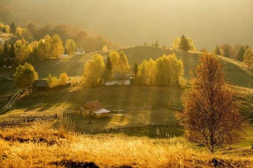 Blidarei - Transilvanian Haven