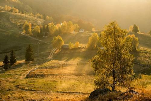 Blidarei - Transilvanian Haven
