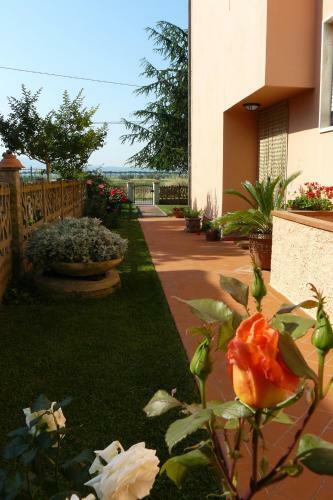 Hostal La Mimosa