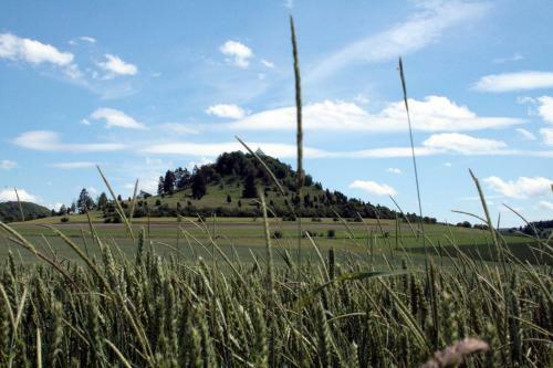 Landhotel Sonnenb�hl