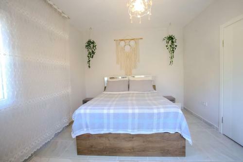 Captivating Villa With Private Pool Surrounded By Olive Trees In Fethiye