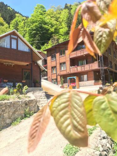 Apartamento ?en But?k Otel Ve Bungalov