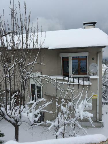 Villa Magnolia