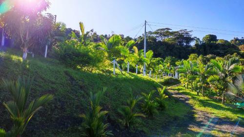 Acogedora Casa de Campo Con Vista A La Monta�a