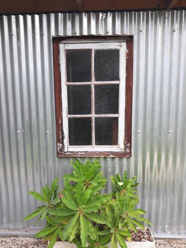 Apartamento Storms River Tin House