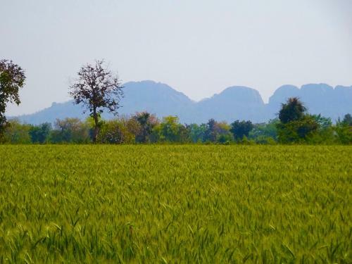 Maji Homestay Khajuraho