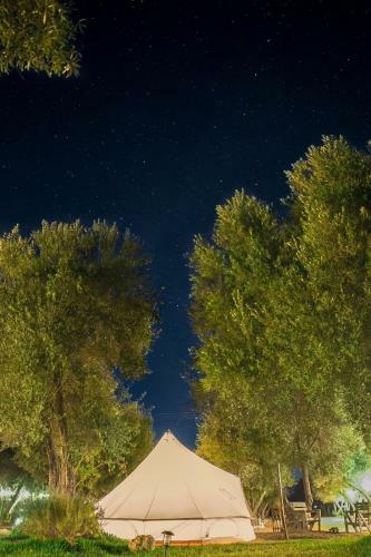 Guadalupe Valle Glamping