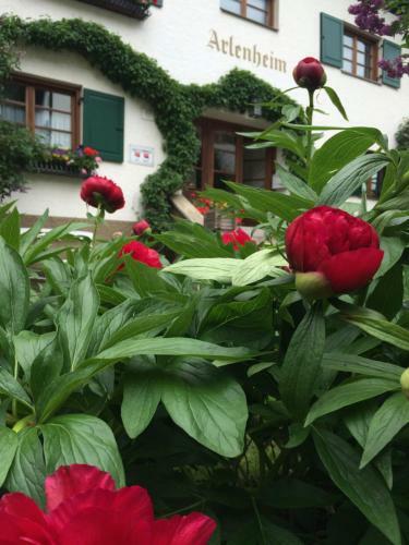 Hostal Arlenheim