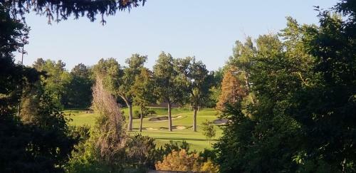 Hollywood Regency Luxury Boutique Home Denver Center