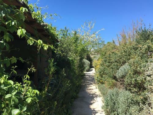 Aparthotel Camping Village Rocchette