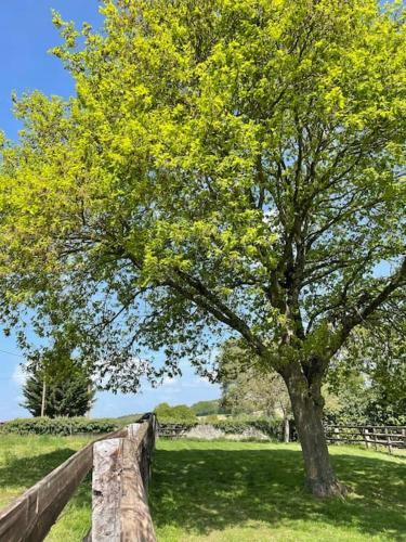 Apartamento Haras Du Sablon Au C?ur Du Parc R�gional Du Perche