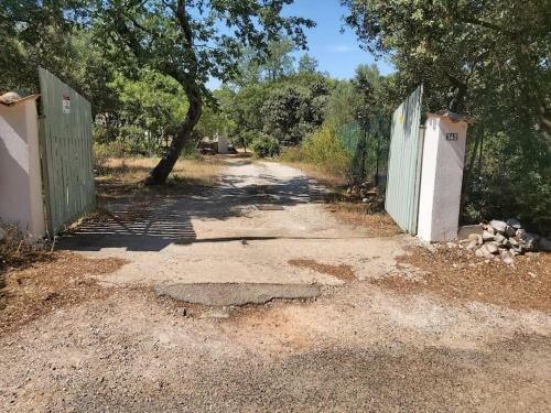 Apartamento Un �crin De Verdure Et Plus..