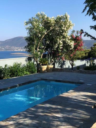 Villa Agave
