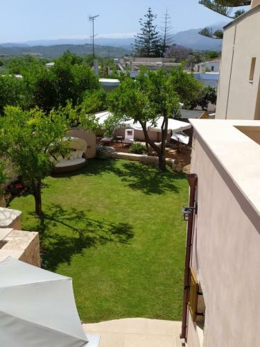 Hotel Wild Violet
