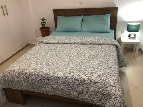 Apartamento Artemis House