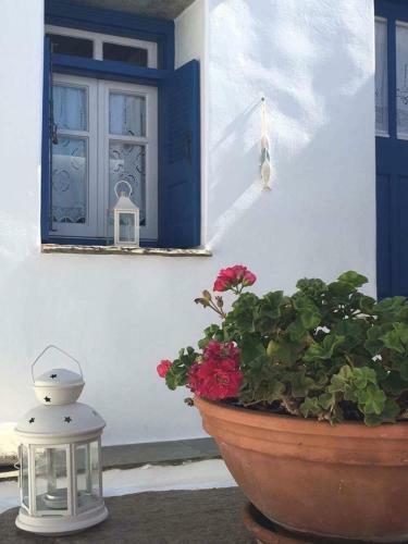 Apartamento Anamark