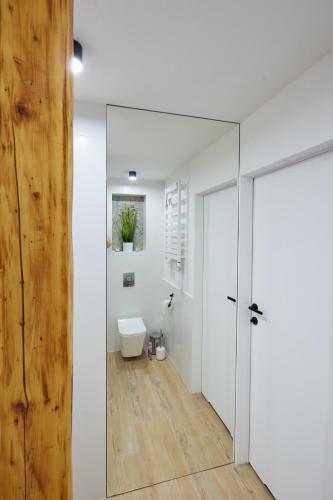 Kamilkowy Apartament