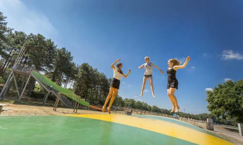 Bungalowtent Vakantiepark de Bergen Wanroij