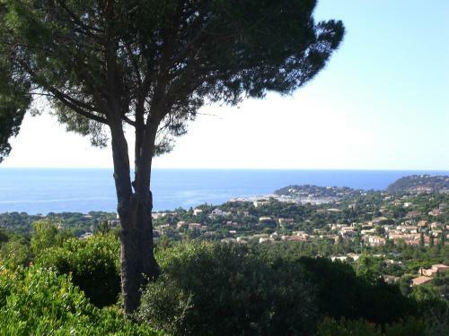 Bed & Breakfast Villa Port Sud