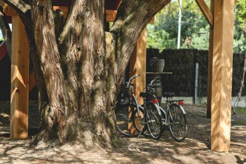 Hotel Logis H�tel Emeraude Des Bois