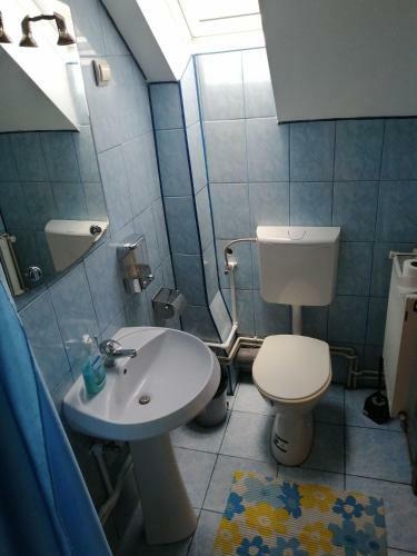 Hostal Fodor Vend�gh�z