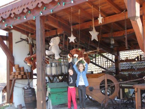 Holiday Home Les Chalets Des Ayes Le Thillot IV