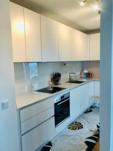 Apartamento Lux 2bd W/ Rooftop Terrace And Rhine Views!